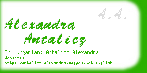alexandra antalicz business card
